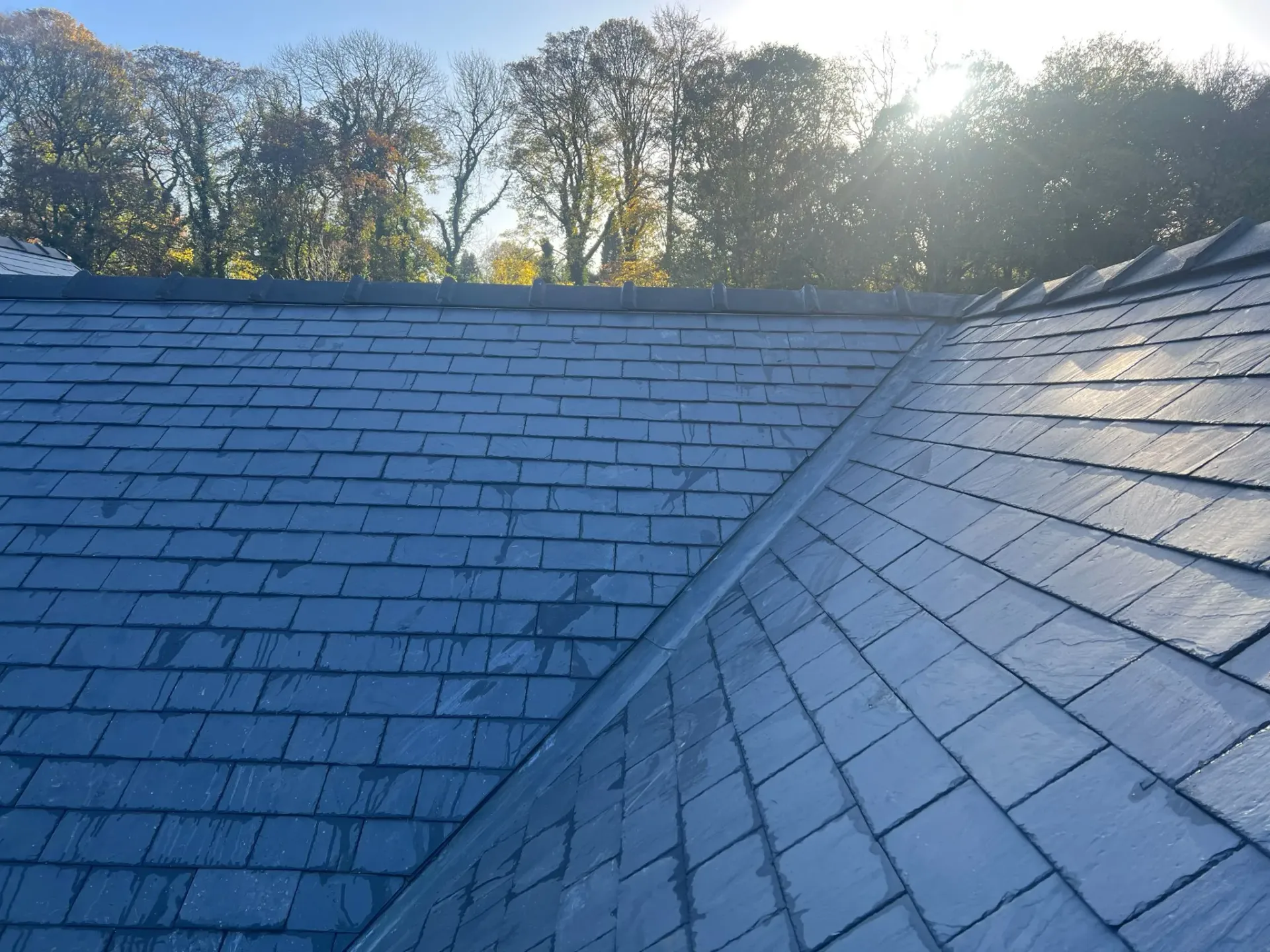 Close up of grey slate tiles on a pitched roof with trees in the background