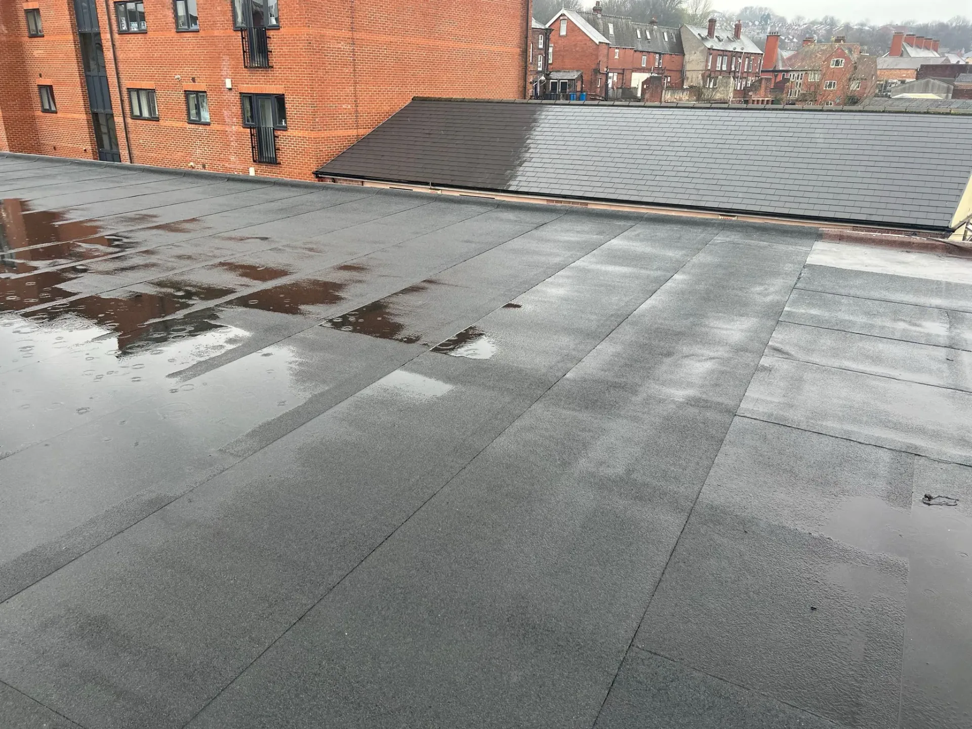 Flat roof with standing water, showing condition after rain near a brick building and other roofs.